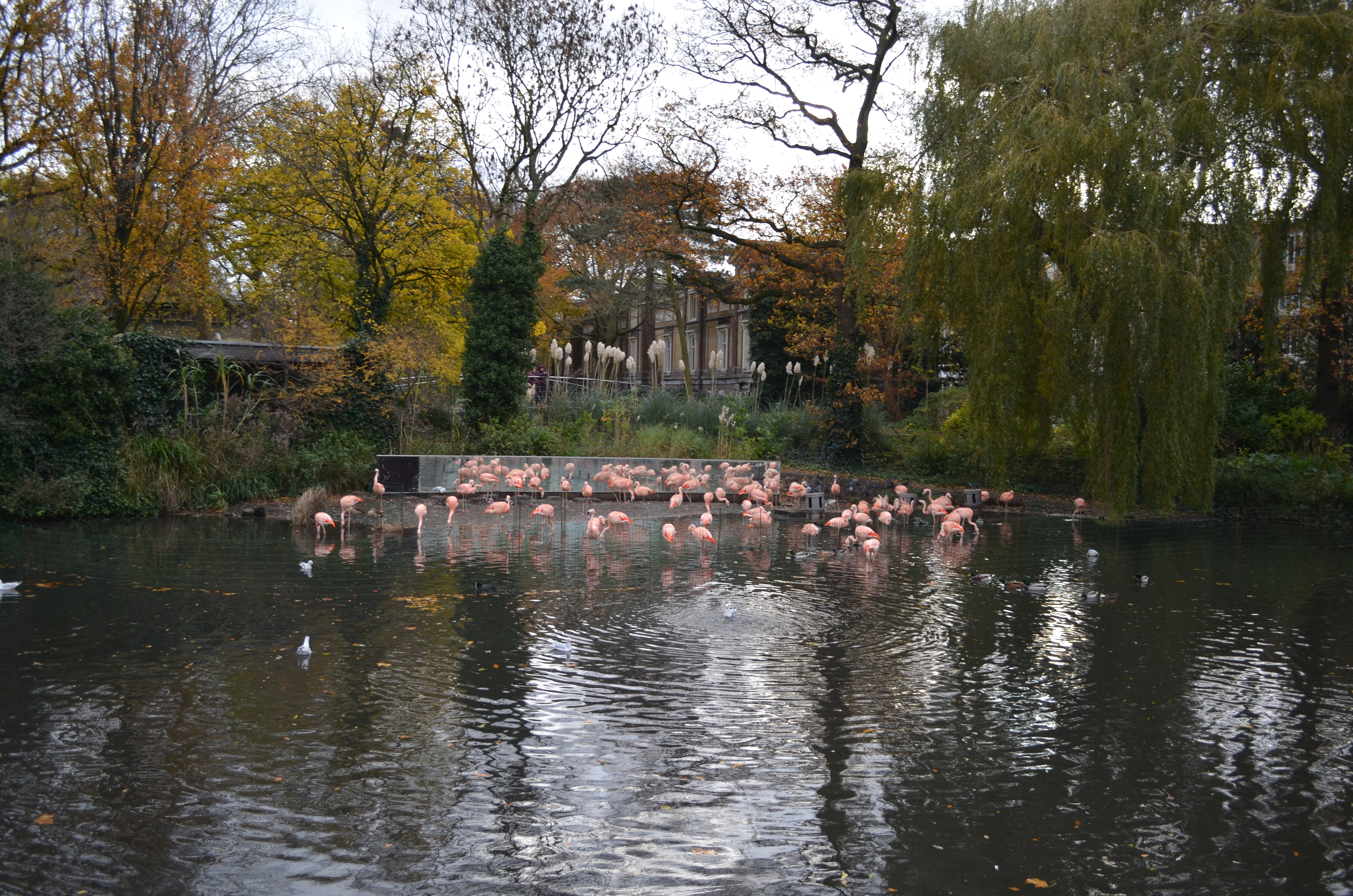 ./2017/19 - Viking Lif/13 - Amsterdam, The Netherlands/DSC_0668.JPG